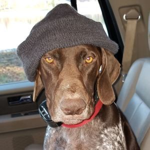 Meet your Posher, Renee